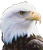 WhoCares's Avatar
